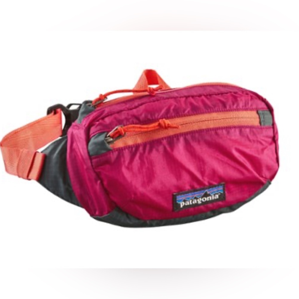 Patagonia lightweight travel mini hip pack